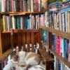 book-trader